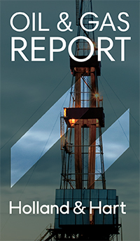 The Oil and Gas Report